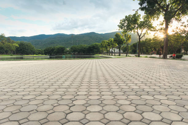 Best Custom Driveway Pavers  in Clintwood, VA